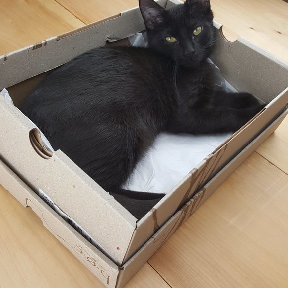 Meet your Posher - Picture 3 of 3